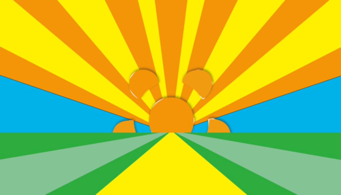 Sheffield Renewables move to Solar