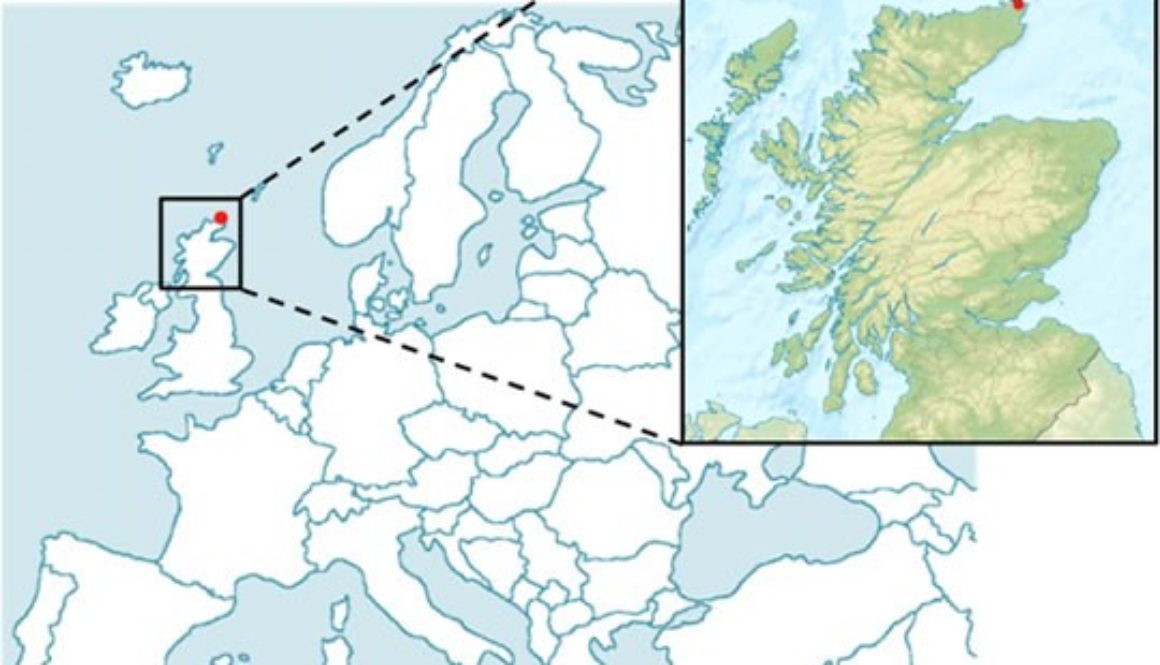 map map
